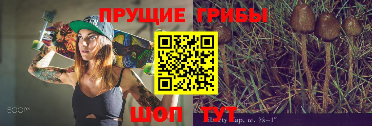 Саранск  Галлюциногенные грибы GOLDEN TEACHER  Вход с VPN  Псилоцибиновые грибы Magic Shrooms 